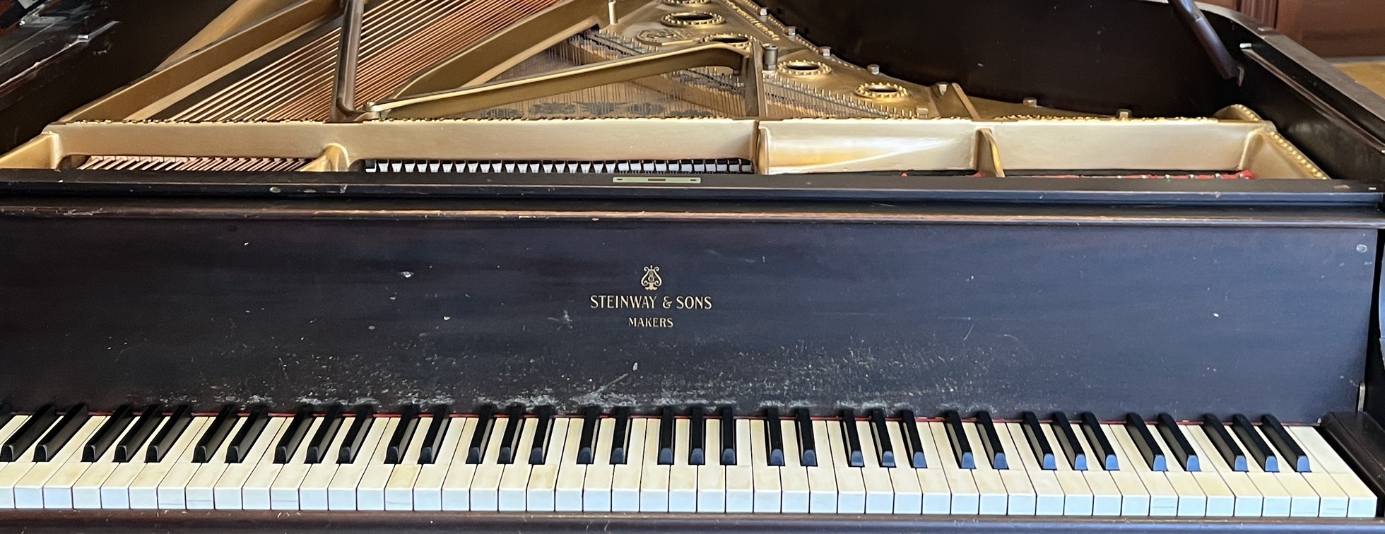 ANMS Piano Revival Project